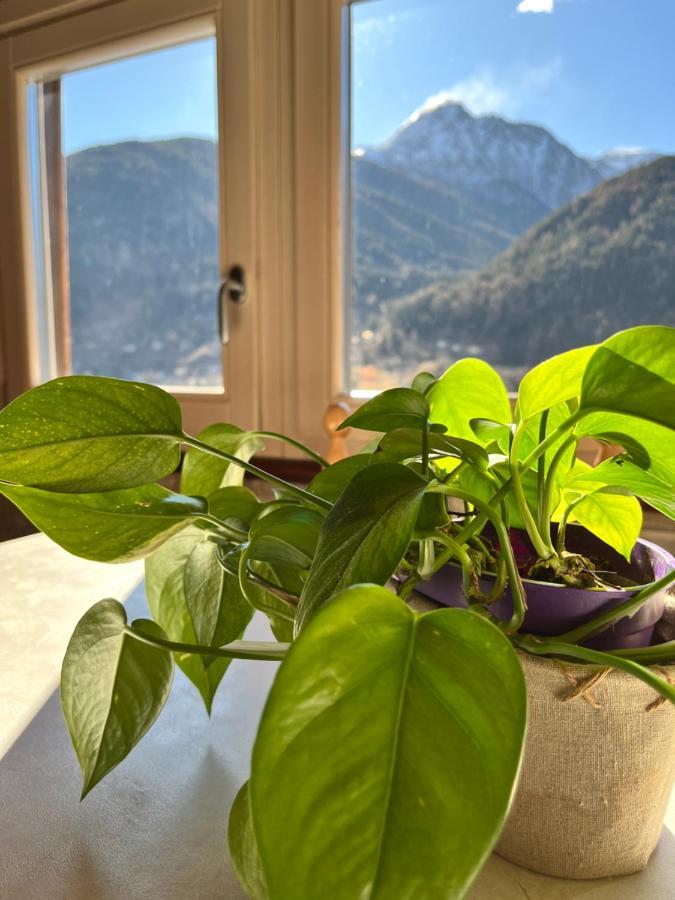 Residenze Vezza - Home Sweet Home- Vezza d'Oglio Bagian luar foto